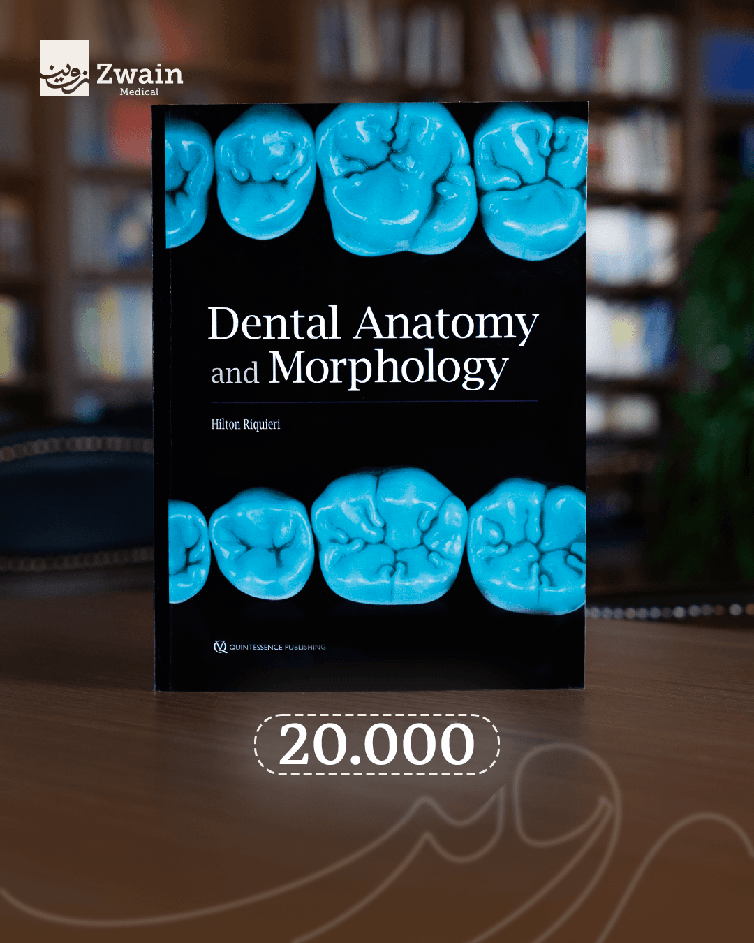 Dental anatomy and morphology