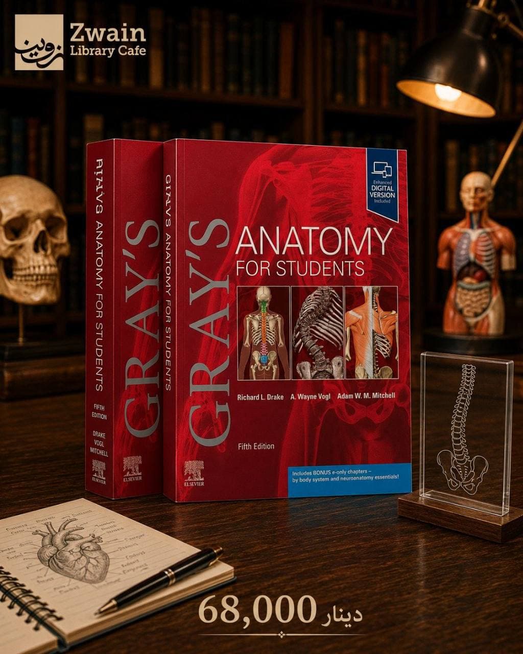 Gray’s Anatomy for Students – Fifth Edition