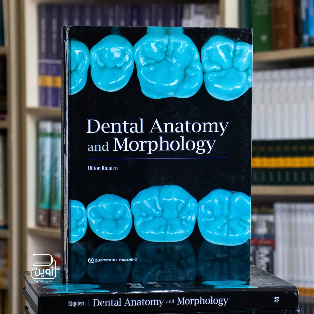 Dental Anatomy and Morphology by Hilton
