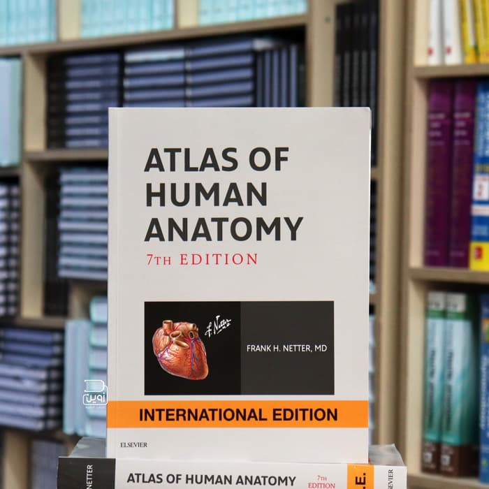 Netter Human Anatomy Atlas 7th Edition