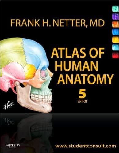 NETTER HUMAN ANATOMY ATLAS 5TH ED