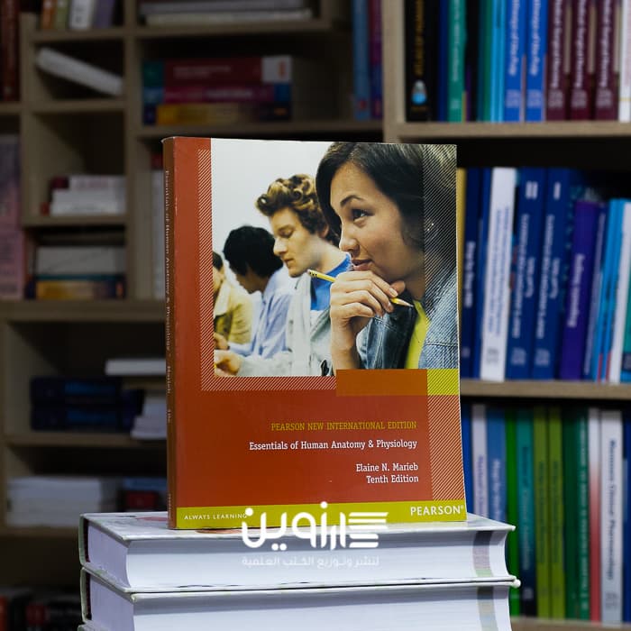 Essentials of Human Anatomy and Physiology 10th Edition