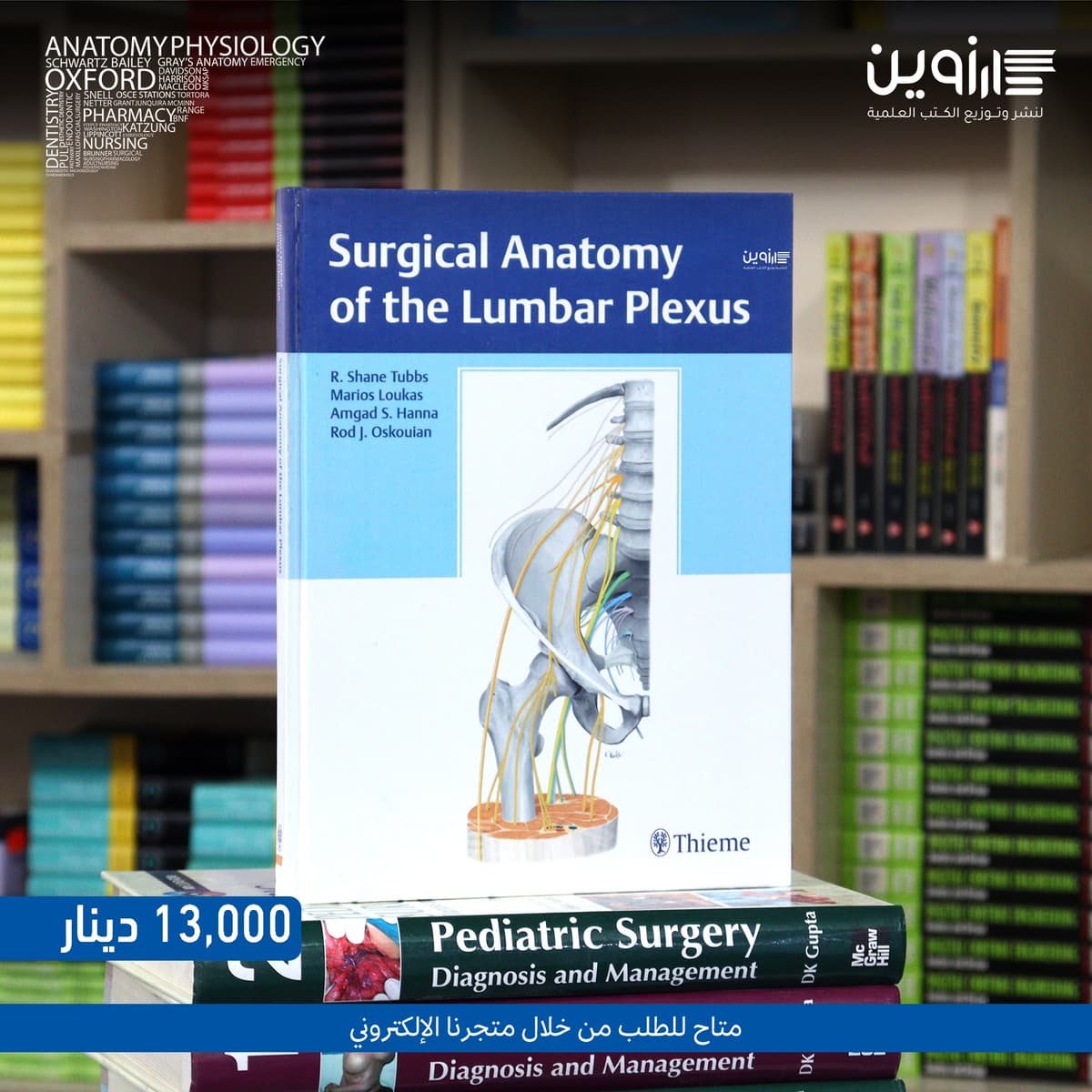 SURGICAL ANATOMY OF THE LUMBAR PLEXUS
