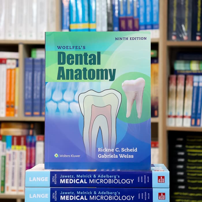 Woelfels Dental Anatomy