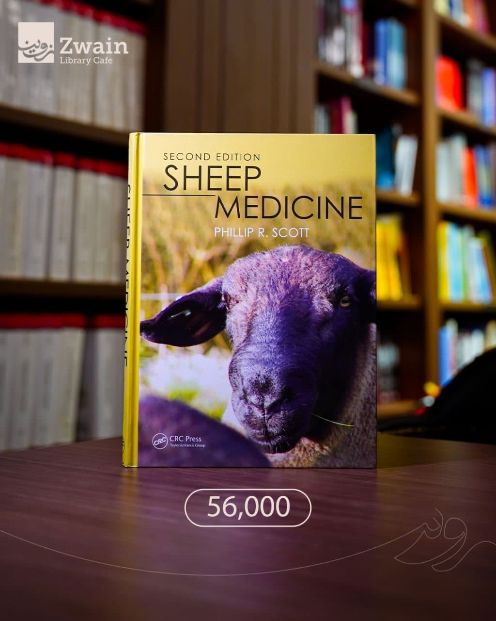 Sheep Medicine