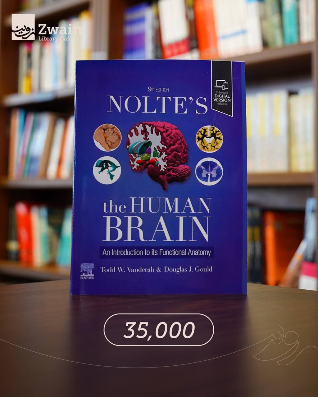 Nolte’s The Human Brain