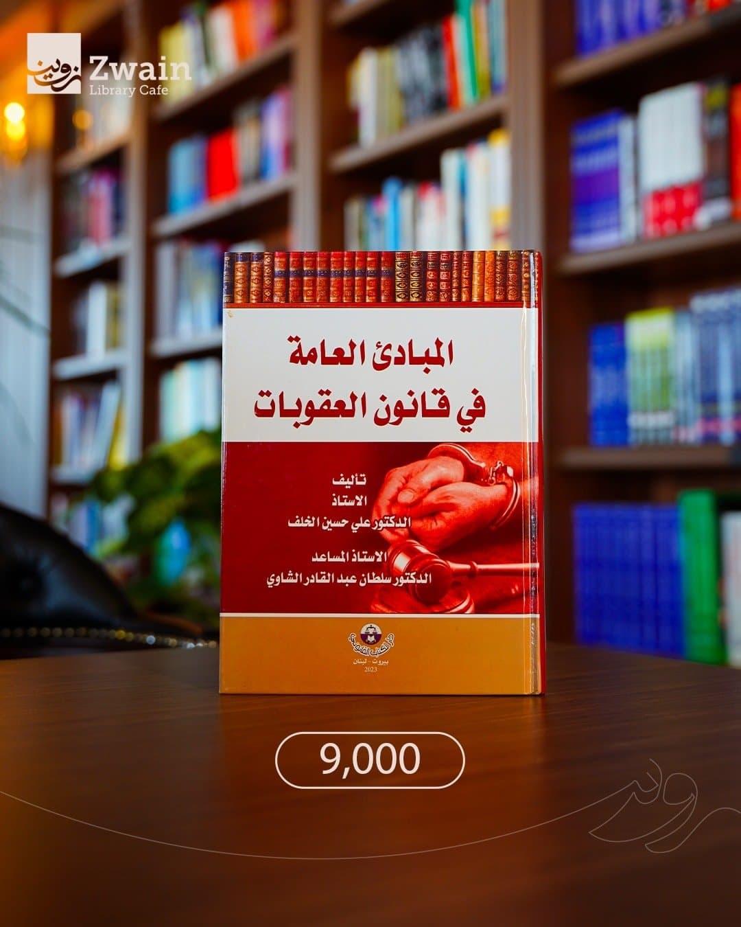 المبادئ العامة في قانون العقوبات