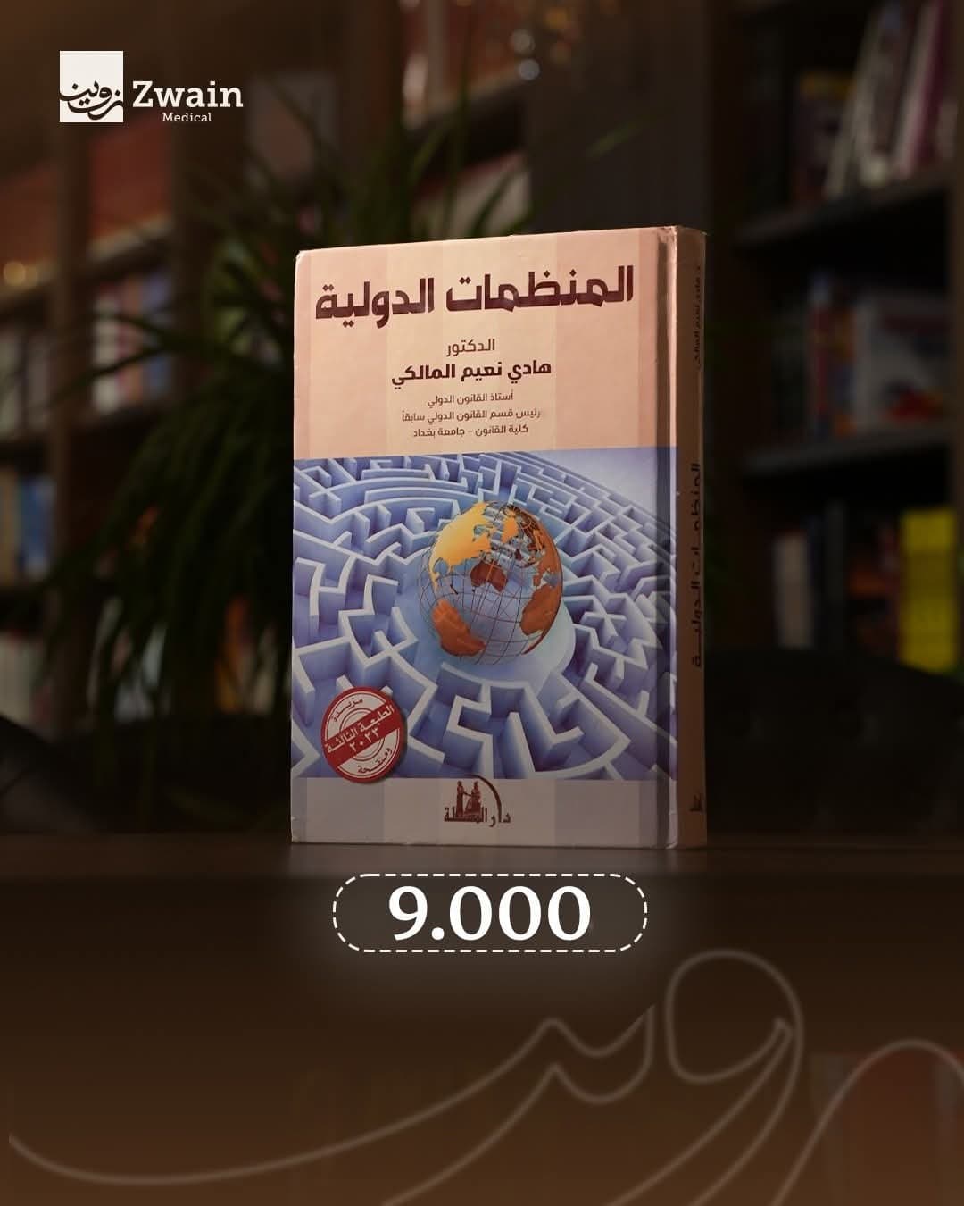 المنظمات الدولية