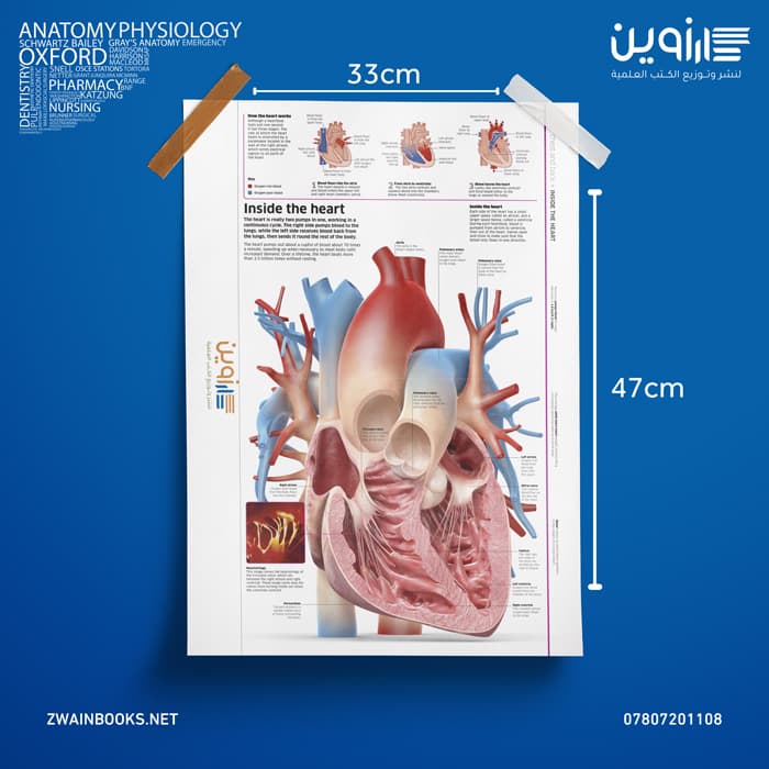Inside The Heart